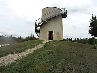 დექსტერ ფენიქსი და კეიდი